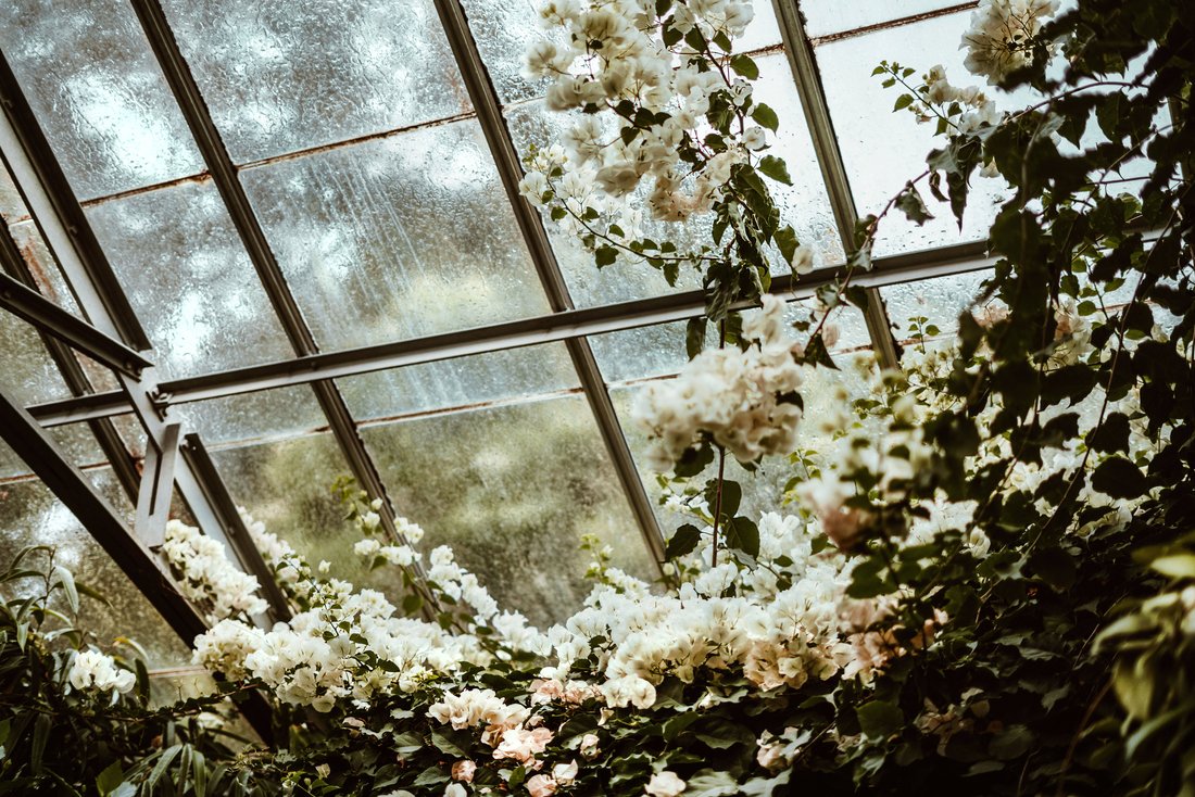 3 Things to Look Out For In a Good Online Flower Shop
