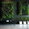 A living green plant wall adorns a home interior, showcasing a stunning array of lush foliage and vibrant colors, creating a visually captivating focal point that brings nature's beauty indoors.
