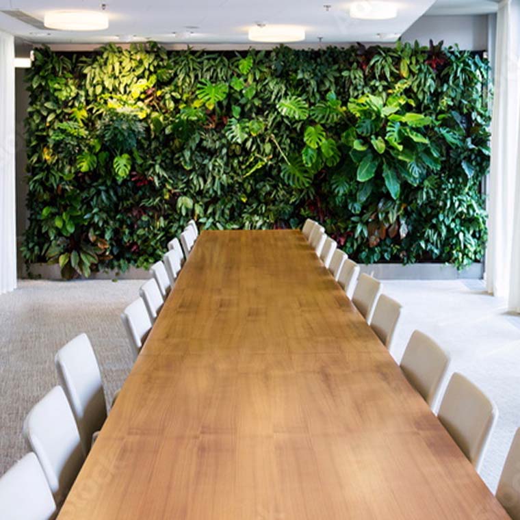 vertical green wall in office setting