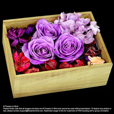 Preserved everlasting flowers (FOREVER01) - Flowers-In-Mind