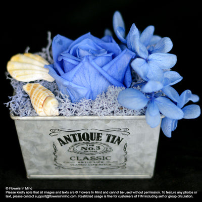 Preserved everlasting flowers (FOREVER05) - Flowers-In-Mind