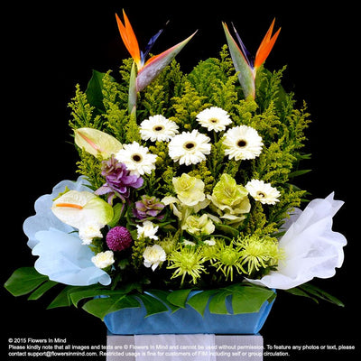Wreath Box Design (DELUXE) (FW21) - FLOWERS IN MIND