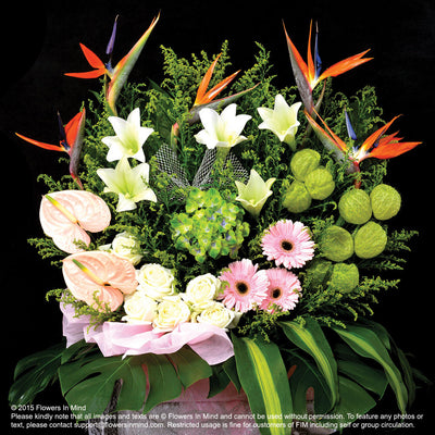 Wreath Box Design (PREMIUM) (FW26) - FLOWERS IN MIND