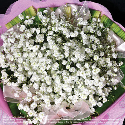 Bouquet of Gypsophila (HB56) - FLOWERS IN MIND