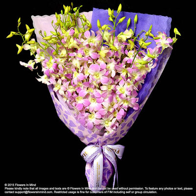 Bouquet of Orchids (HB31) - FLOWERS IN MIND