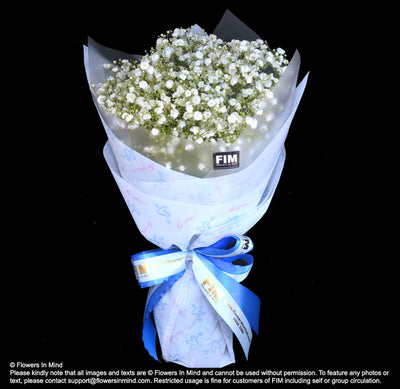 Bouquet of Gypsophila (HB56) - FLOWERS IN MIND