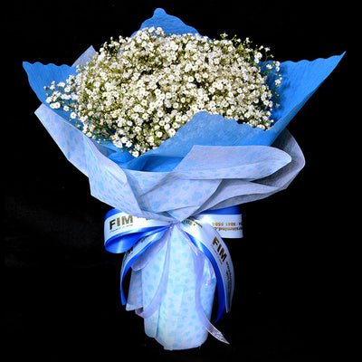 Bouquet of Gypsophila (HB56) - FLOWERS IN MIND