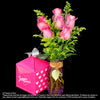 FAMOUS AMOS Hamper (HP286) - Flowers-In-Mind