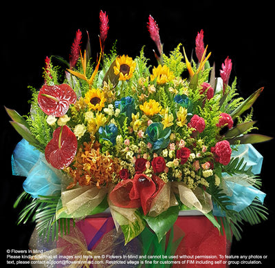 Best premium flowers opening flowers