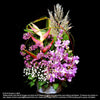 Contract Flowers (3 months or 13 weeks subscription) - Flowers-In-Mind