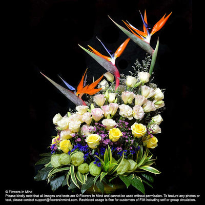 Contract Flowers (6 months or 26 weeks subscription) - Flowers-In-Mind