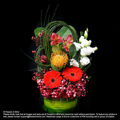 Contract Flowers (6 months or 26 weeks subscription) - Flowers-In-Mind
