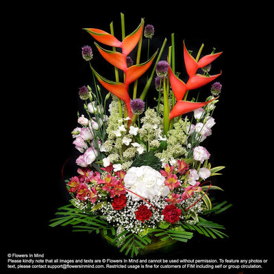 Contract Flowers (6 months or 26 weeks subscription) - Flowers-In-Mind