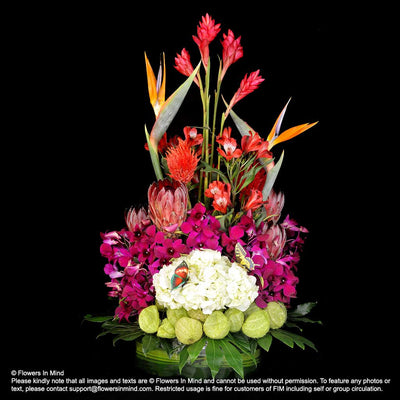 Contract Flowers (12 months or 52 weeks subscription) - Flowers-In-Mind