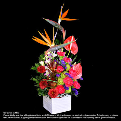 Contract Flowers (12 months or 52 weeks subscription) - Flowers-In-Mind