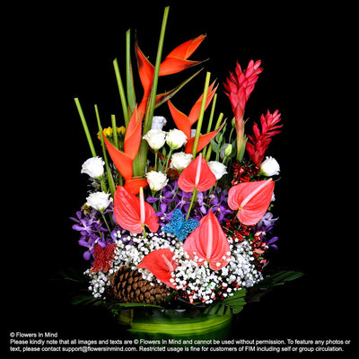 Contract Flowers (12 months or 52 weeks subscription) - Flowers-In-Mind