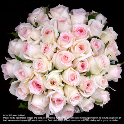 Bridal bouquet in natural stem (WD60) - FLOWERS IN MIND