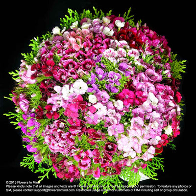 Bridal bouquet in natural stem (WD153) - FLOWERS IN MIND