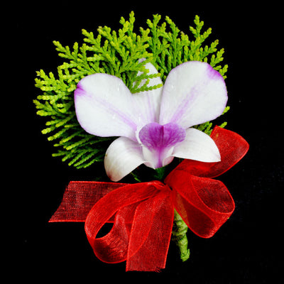 Corsage with Orchids - FLOWERS IN MIND