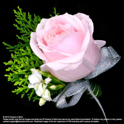 Corsage with Roses (Yam) - FLOWERS IN MIND
