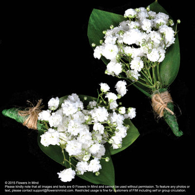 Bridal Floral Arrangement Workshop (2 LESSONS) - Flowers-In-Mind