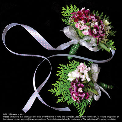Corsage and Wedding Wristlet with Sweet Williams (WD47) - FLOWERS IN MIND