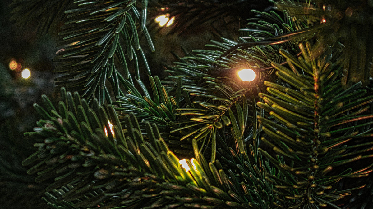 The Gifts of Love for this Christmas