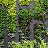  A stunning vertical green wall adorned with a variety of lush plants, seamlessly blending with the interior design, creating a visually captivating and harmonious space that brings the beauty of nature indoors.