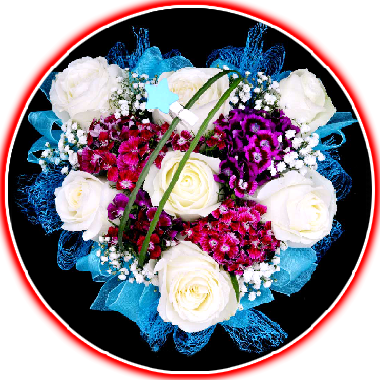 Valentine's Day Special Collection