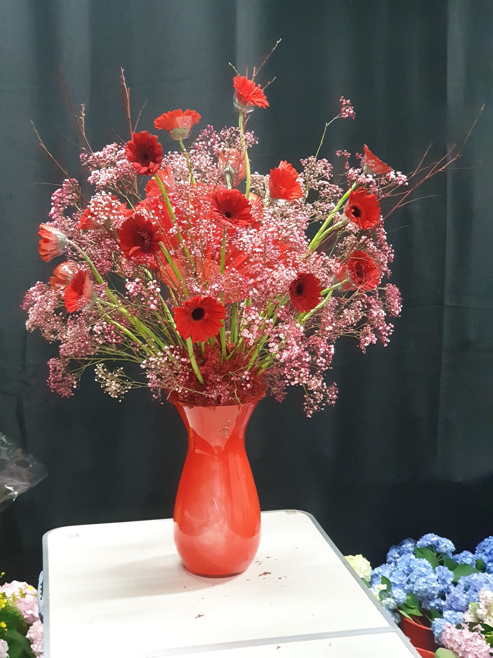 fresh gerberas in red vase