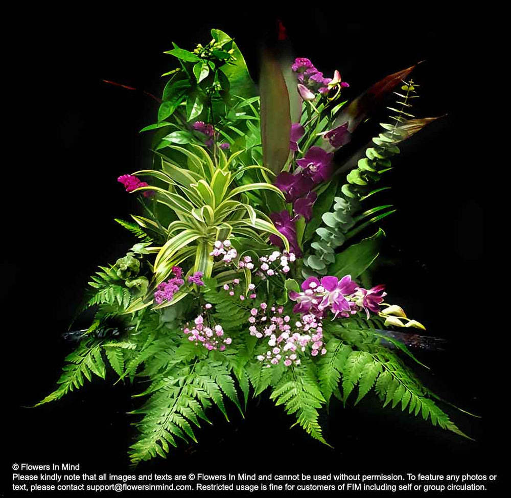 stage decoration flowers with orchids and ferns
