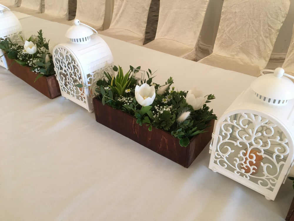 tulips in wooden crates