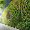 vertical green wall on side of building, outdoor low maintainance