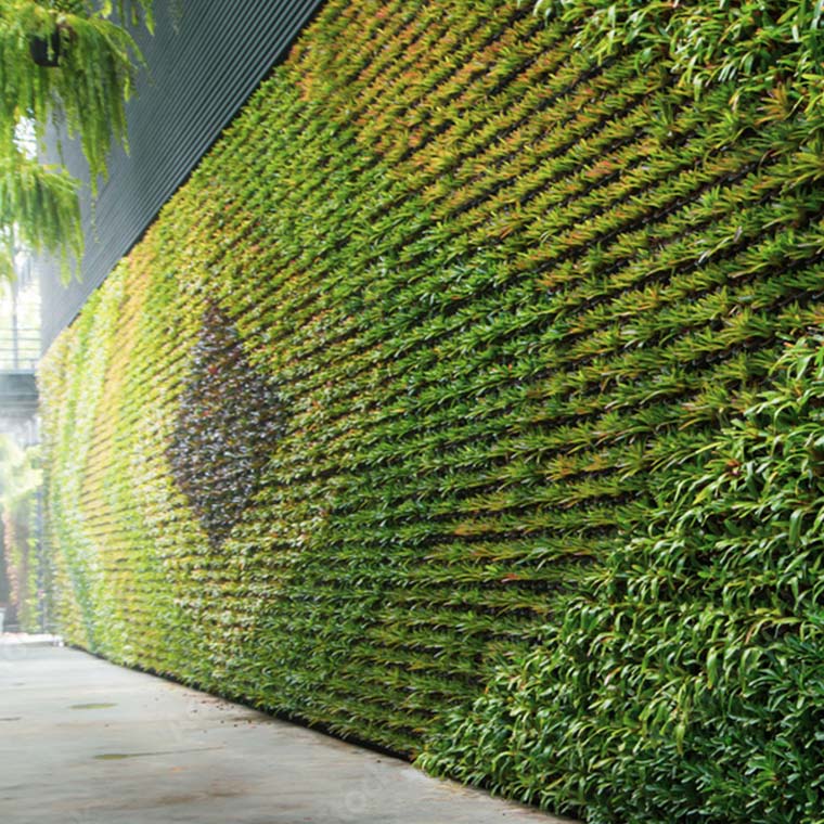 Transform Your Space with Vibrant Vertical Green Walls FLOWERS IN MIND