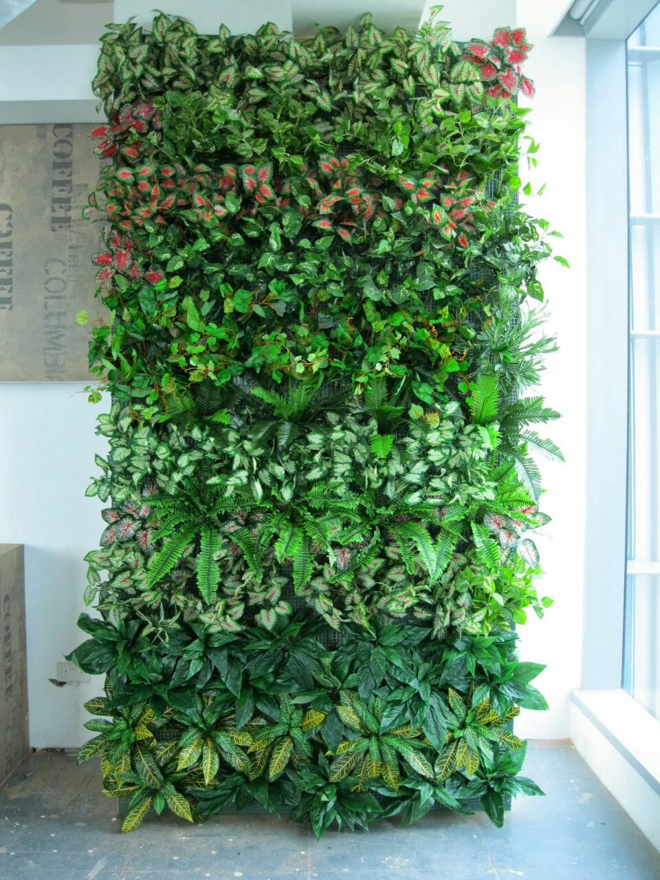 flowersinmind_wallofplants