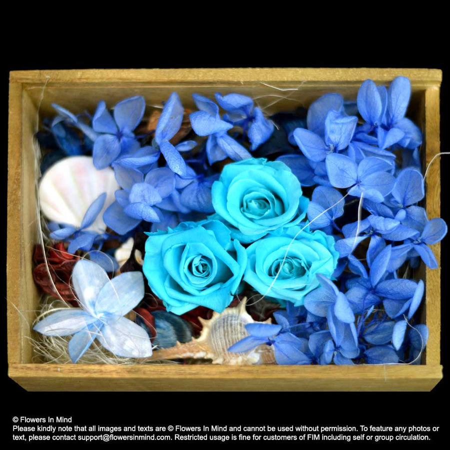 Preserved everlasting flowers (FOREVER03) - Flowers-In-Mind