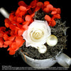 Preserved everlasting flowers (FOREVER06) - Flowers-In-Mind