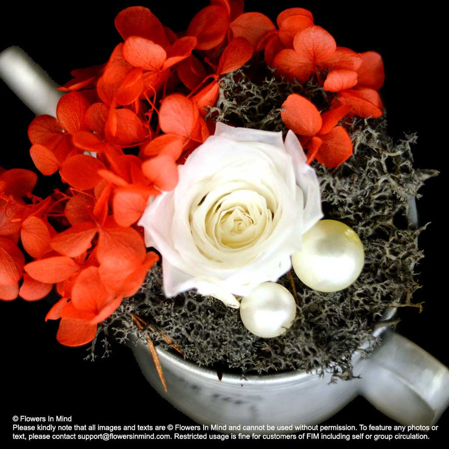 Preserved everlasting flowers (FOREVER06) - Flowers-In-Mind