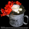 Preserved everlasting flowers (FOREVER06) - Flowers-In-Mind
