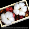 Snow White Cotton (FOREVER14) - Flowers-In-Mind