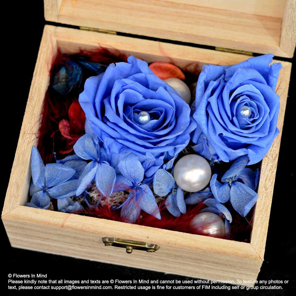 Preserved everlasting flowers (FOREVER12)
