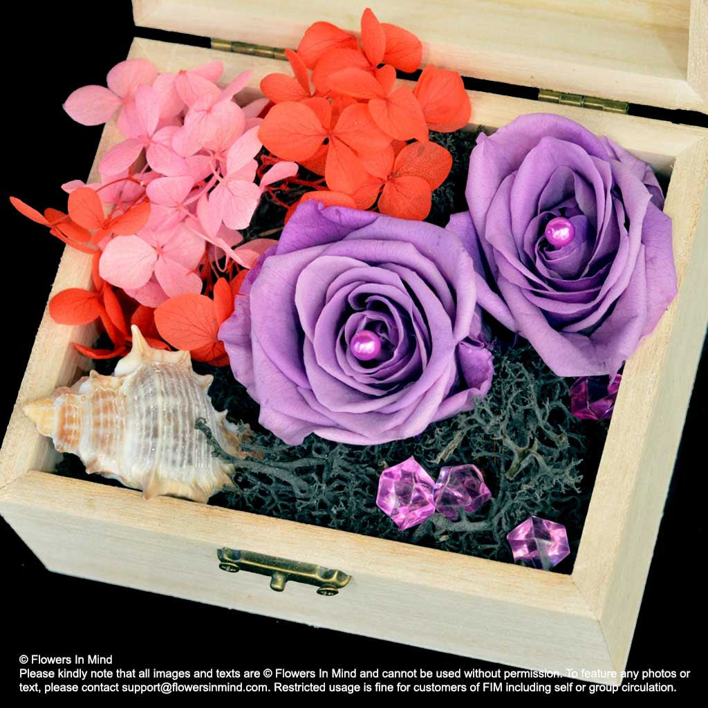 Preserved everlasting flowers (FOREVER13)