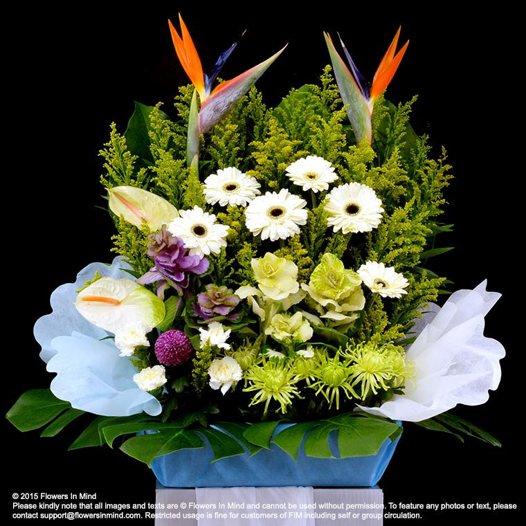 Wreath Box Design (DELUXE) (FW21) - FLOWERS IN MIND