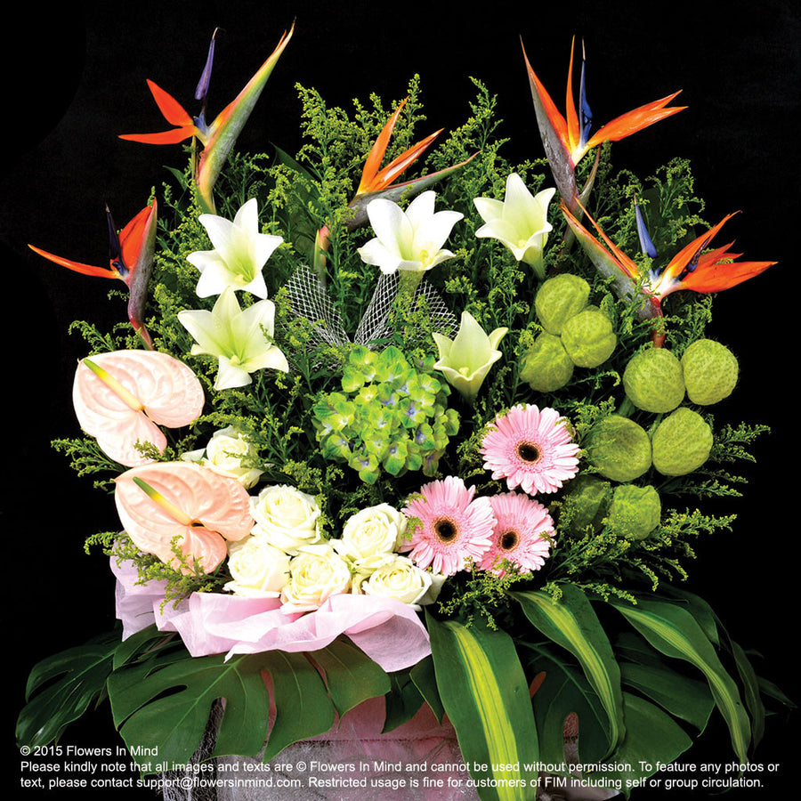 Wreath Box Design (PREMIUM) (FW26) - FLOWERS IN MIND