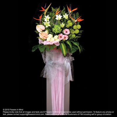 Wreath Box Design (PREMIUM) (FW26) - FLOWERS IN MIND
