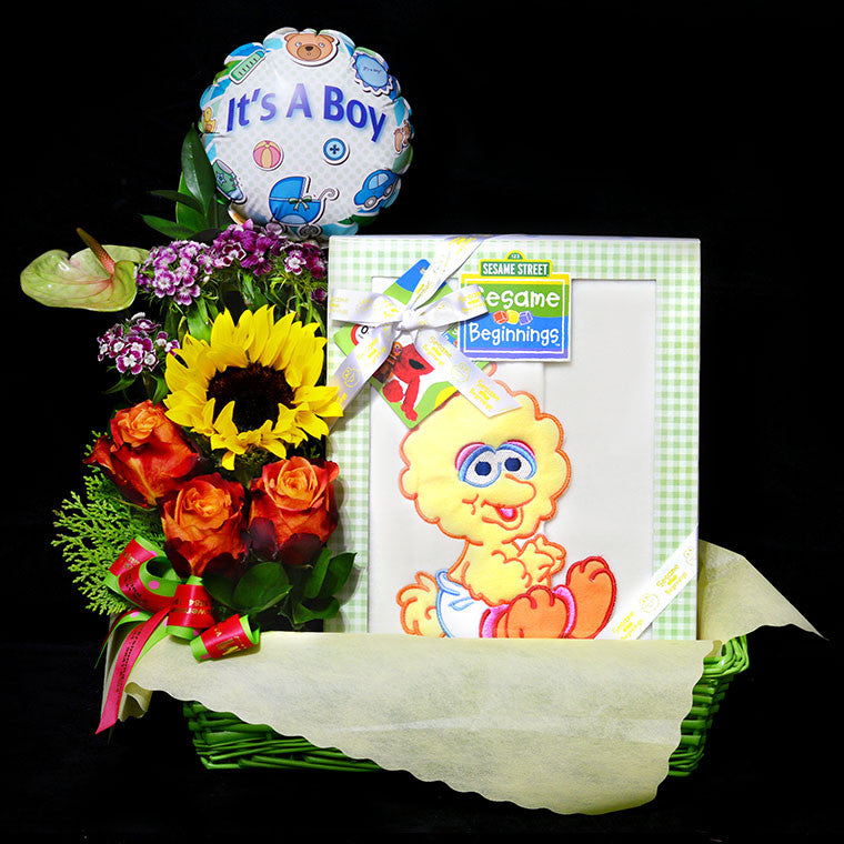 New Born Hamper (GW19)