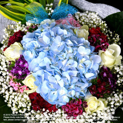Bouquet of Hydrangea and Roses (HB233) - FLOWERS IN MIND