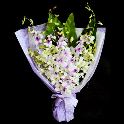 Bouquet of Orchids (HB30) - FLOWERS IN MIND