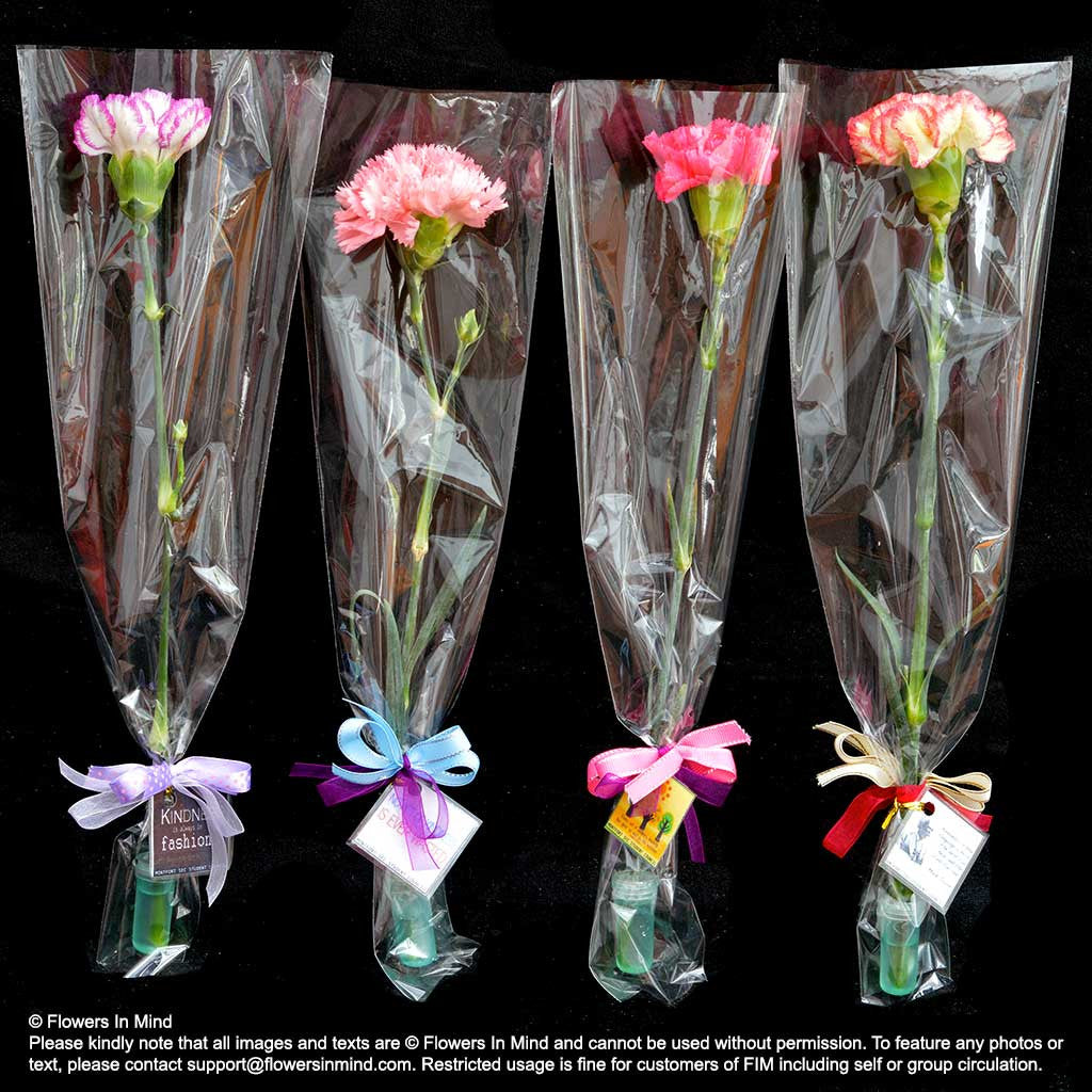 Wedding / Event Floral Door Gifts (HB328)