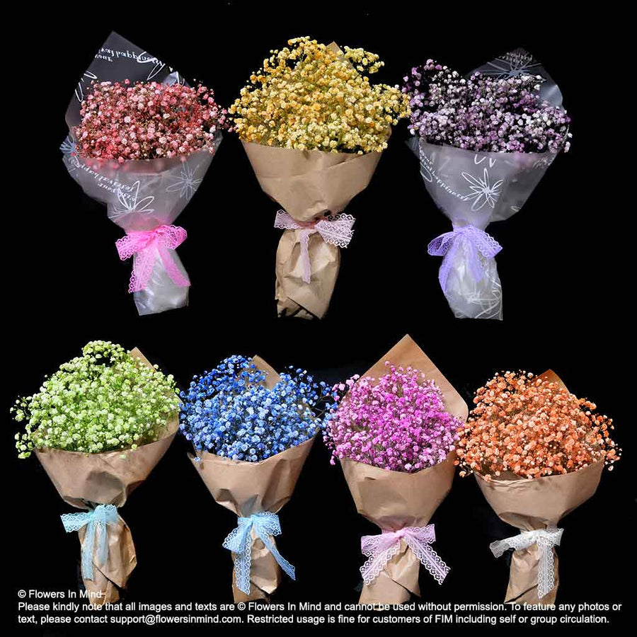 7 X Bouquets of Gypsophilla (HB355) - Flowers-In-Mind